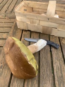 Grenzfall der Frische
